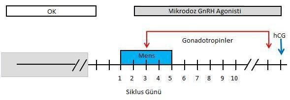 Ultra kısa GnRH agonist protokolü; flare etkiyi stimule etmek için agonist tedavisi 3 gün boyunca verilir ama daha sonra kesilir; tedaviye sadece gonadotropin ile devam edilir.