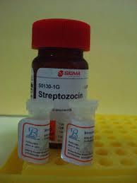 Streptozotosin DNA sentezini inhibe eder; pankreas β hücrelerine daha çok ilgi duyar Insulinoma Ağır ve