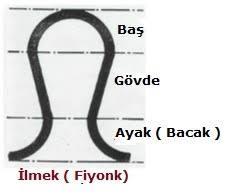 Çözgülü Örme Elemanları Çözgülü örme sisteminde iplilerin ilmek oluşturması işlemini sağlayan örücü makine elemanları; delikli iğneler, dilli iğneler, iğne rayları, baskı platinleri ve doku çekme