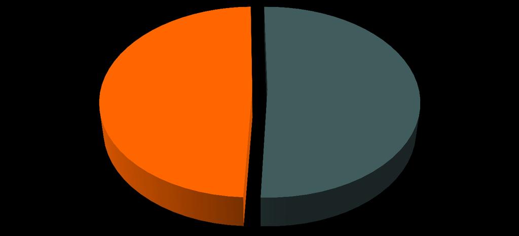 ARAŞTIRMANIN DEMOGRAFİSİ