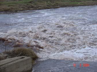 Meriç sularının kalitesi üzerinde etkili olan ikinci akarsu ise Ergene Irmağıdır. Çizelge 4.