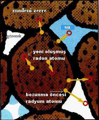 Şekil 1.3. Radonun toprak gazı ve suya geçişi (USGS) Madensel zerreler içerisinde oluşan çoğu radon atomu yine bu zerreler içinde gömülü kalır.