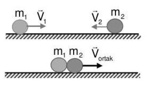 m 1 v 1 + m 2 v 2 = m 1 v 1 + m 2 v 2 (18) Şeklinde yazılır. Enerji korunumu ise çarpışmadan önceki kinetik enerjilerinin toplamı, çarpışmadan sonraki kinetik enerjilerinin toplamına eşittir.