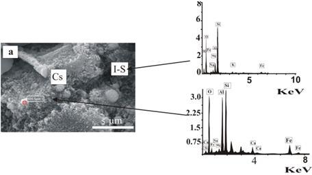 Şekil 4.43 Haymana kumtaşları L1 2A numunesine ait SEM mikrografları ve EDS grafikleri Ölçek 5 µm Şekil 4.44 SEM fotoğrafında Şamozit minerali (Cs) gösterilmektedir.