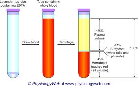 Kanın Bileşimi Plazma (%55) Şekilli elemanlar (%45) https://www.google.com.tr/search?
