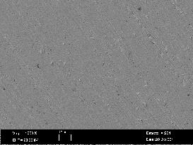 4 +1,0x10-2 M 4-Piperidin karboksilikasit