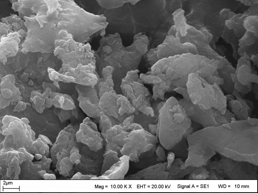 Şekil 4.2. BK adsorbanının SEM görüntüsü Her iki adsorbanın da karbon miktarları oldukça fazladır. Yapı içerisindeki karbon miktarı adsorpsiyon olayında adsorban için tercih edilen bir durumdur.