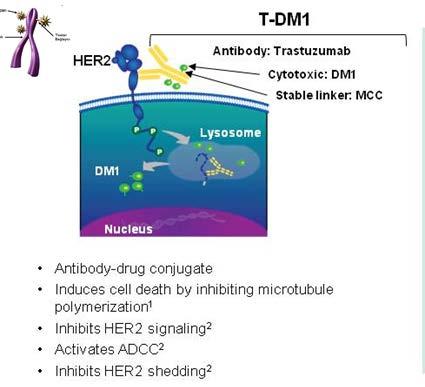 T-DM1