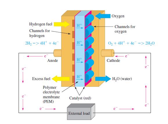 Yakıt Hücresi Yakıt hücreleri Yakıt hücresi, bir yakıtla (genelde hidrojen) oksitleyici bir etmenin (genelde oksijen) bileşimiyle kimyasal