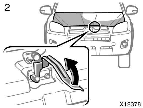 Herhangi bir kiþi elektrikli camlarý kapatýrken, bu iþi bilerek yaptýklarýndan emin olunuz.