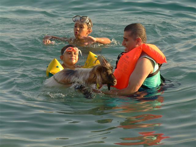 Çoban Bodrum Halk Masalları kitabını imzaladı Bodrum Belediyesi Personeli Cezmi Çoban, Bodrum Halk Masalları kitabını, Bodrum Belediyesi Şevket Sabancı Kültür ve