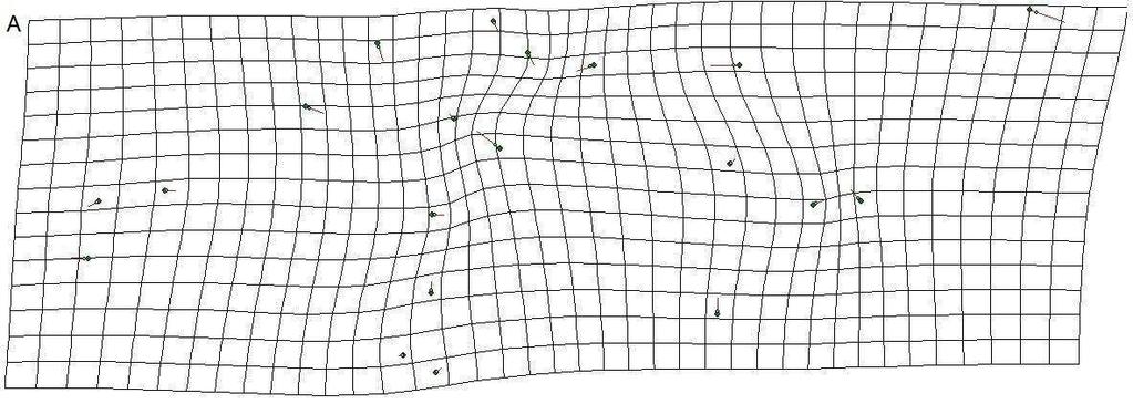 Fig. 3 Comparision of deformation grids of honey bee colonies: 1 with 2 (A), 1 with 3 (B), 2 with 3 (C).