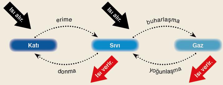 Saf maddelerin kimyasal yapısı değişmeden sabit sıcaklıkta, ısı alarak veya ısı vererek fiziksel halinin değişmesine hal değişimi denir. Madde hal değiştirirken ısısı artabilir, azalabilir.