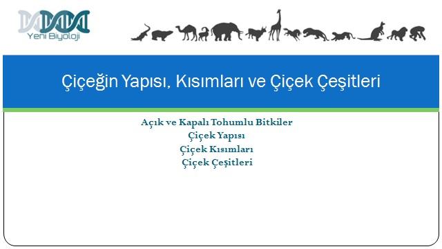 Ç 瀝 çeğ 瀝 n Yapısı, Kısımları ve Ç 瀝 çek Çeş 瀝 tler 瀝 Yen 瀝 B 瀝 yoloj 瀝 Eylül 9, 2017 >> MUTLAKA OKUYUN: B 㟀 yoloj 㟀 Nasıl Çalışılır? Tohumlu b 㟀 tk 㟀 lerde bulunan üreme organı ç 㟀 çek d 㟀 r.