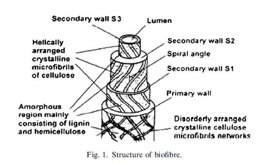 Doğal liflerin yapısı Selüloz içeriği Polimerizasyon derecesi Kristalizasyon derecesi Mikrofibriler açı John,