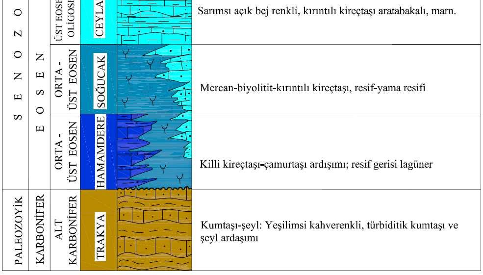 Formasyonları (Üst Eosen-Oligosen) gelir. Çukurçeşme Formasyonu (Üst Miyosen) ise bu birimleri yer yer örter.