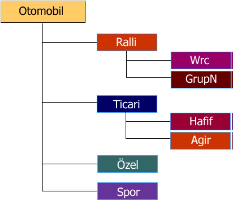 Kalıtım / Miras (Inheritance) 22 Ralli, Ticari, Özel ve spor otomobillerinin ortak bir takım özellikleri var.