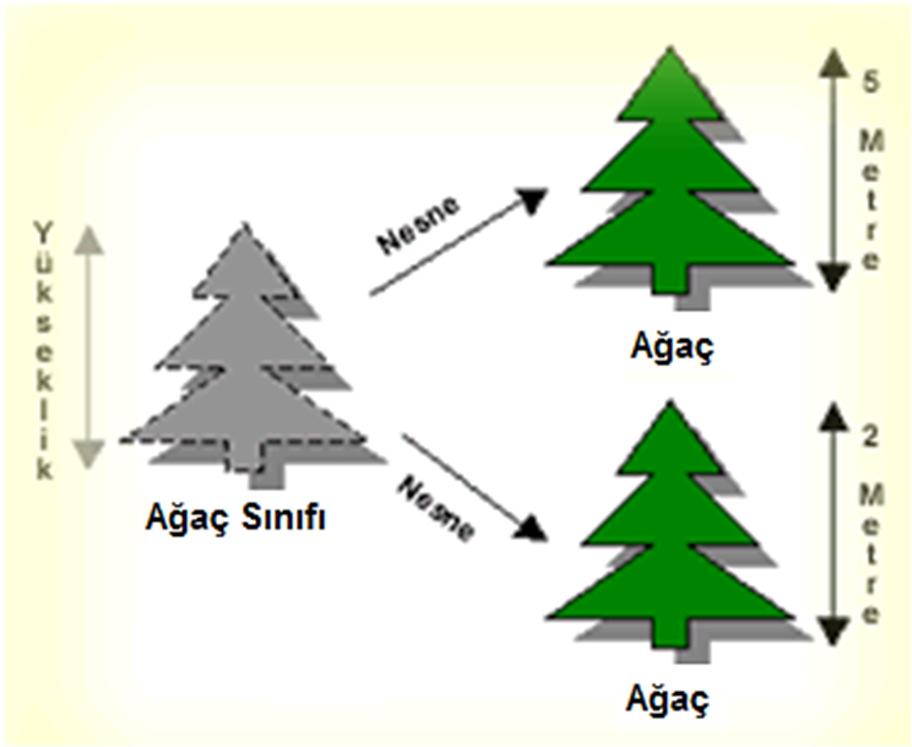 NESNE TABANLI PROGRAMLAMA 6 Sınıf Nesne Örneği: Şekil-1 de Ağaç Sınıfından oluşturulmuş iki ağaç nesnesi gözükmektedir.