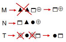 7. A) B) M N T Yukarıdaki tabloda satır ve sütunlardaki şekiller belli bir kurala göre yerleştirilmiştir. C) D) Bu kurala göre; M, N, T yerine hangi şekiller gelmelidir?