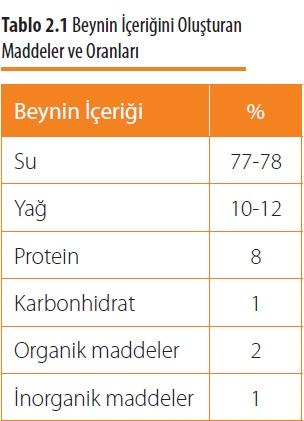 İnce Zar Bey 㟀 n zarları arasında en 㟀 nce ve en 㟀 ç kısımda bulunan men 㟀 ngens zar tabakasıdır.