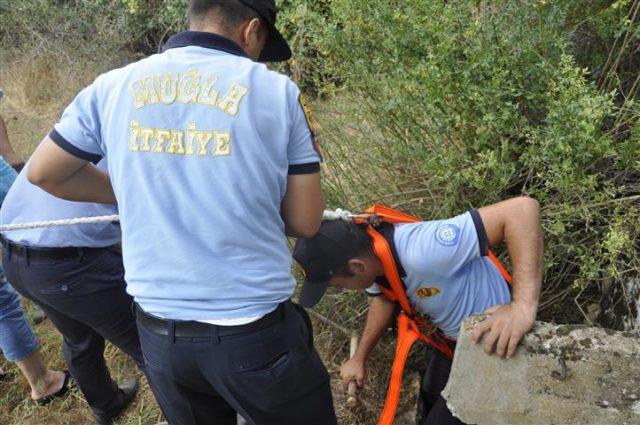 itfaiyeden keçi kurtarma operasyonu Zeytinde Halkalı Leke Mücadelesi Meyvesini Vermeye Başladı Muğla Büyükşehir Belediyesi Tarımsal Hizmetler Dairesi Başkanlığı ve Yatağan Ziraat Odası