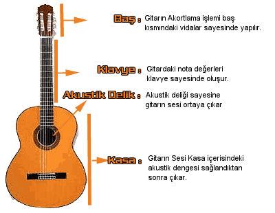 İçerik: Gitarın okul çalgısı olarak kullanımı ve gitarda temel oturuş ve tutuş pozisyonları Metot ve Teknikler: Soru-cevap, düz anlatım, buluş, demostrasyon Araç-gereçler: Öğretmen tarafından