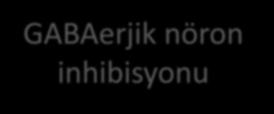 Dopaminerjik Yolak (VT NAC) Akut ağrı GABAerjik nöron inhibisyonu Endorfinerjik maddeler Ödül devrelerindeki DA transmisyonunda artış Haz/ ödül motivasyonunda azalma Mesolimbik