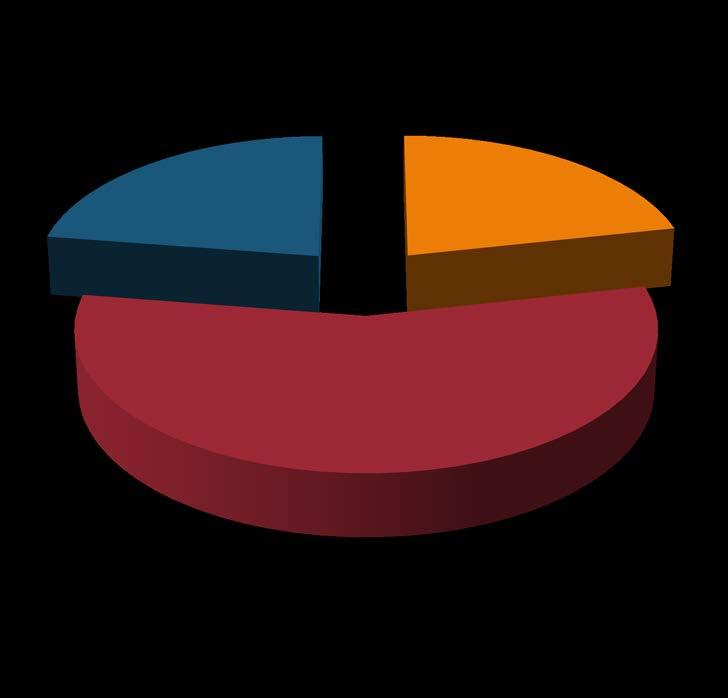 Görücü usulü evlenenler 22% 22% İstemiyordum aile büyükleri isteyince