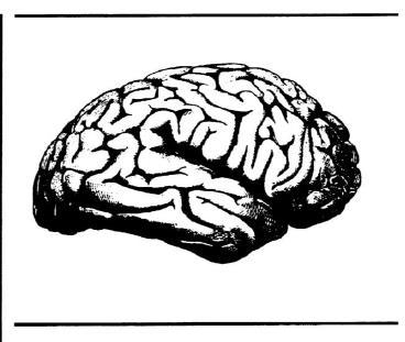 EK 2. Bilimsel Makale Zekanızı Geliştirebilirsin Yeni Araştırmalara Göre; Beyin Bir Kas Gibi Geliştirilebilir Birçok kişi beynin bir gizem olduğunu düşünür.