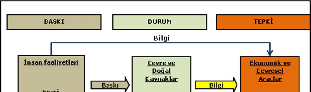 göstergeleri, ve Avrupa Çevre Ajansı DPSIR (İtici güç, baskı, durum, etki ve tepki) gösterge modeli olarak sayılabilir (UNECE, 2007) PSR (baskı-durum-tepki) çerçevesi.