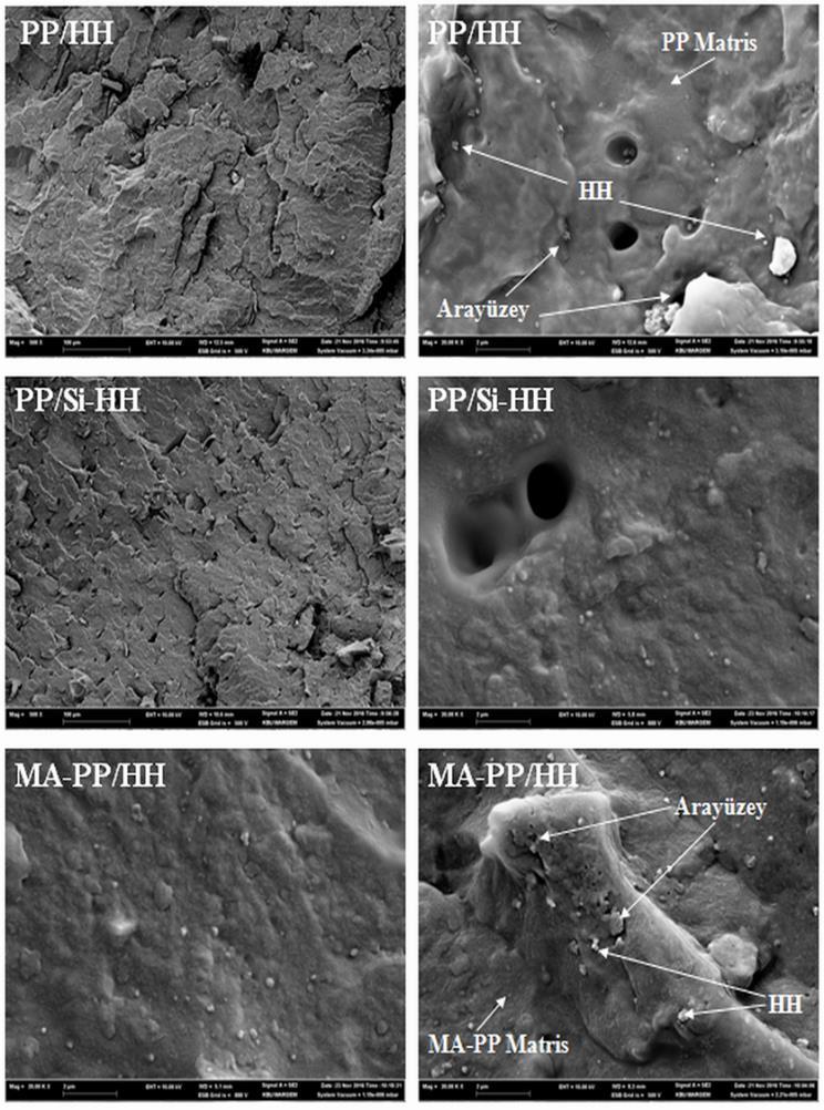 kompozitlerin PP matris içinde topaklandığı ve homojen karışmadığı, bunun sonucunda dolgupolimer ara yüzeyinde boşluklar oluştuğu anlaşılmaktadır.