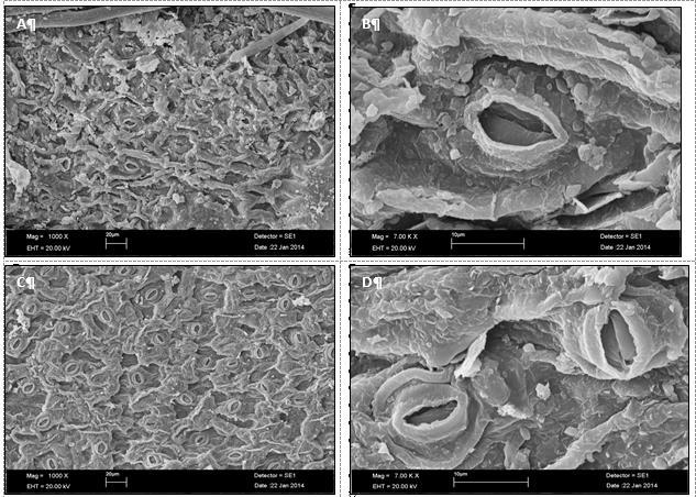 176 Biological Diversity and Conservation 9 / 3 (2016) Şekil 12. A, B.