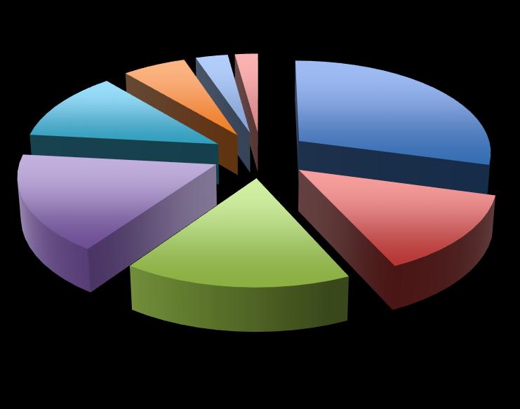 12% 17% 6% 3% 2% 17% 29% 14% <3p 3-10p 10-25p 25-50p 50-75p 75-90p 90-97p >97p Şekil 3.