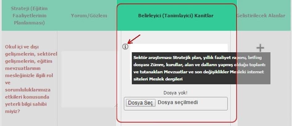 Belirleyici (Tanımlayıcı) Kanıtlar Bu bölümüne, Yorum/Gözlem alanına girilen bilgileri içeren dosyalar tanımlanmalı ve yüklenmelidir.