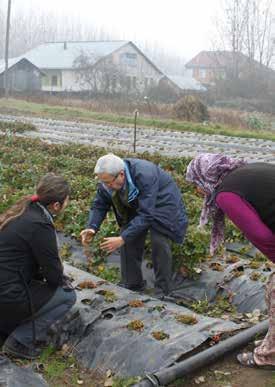 Away from the fishing industry, the flower and ornamental plan business in Turkey is also a sector where producers, wholesalers, and retailers are getting to understand much more about the EU.