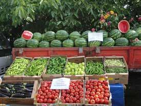 Fresh Fruit & Vegetable Marketing In The Heart Of Mediterranean Fisheries & Agriculture Kumluca district of Antalya, in the southern region of Turkey, is located on a fertile plain stretching from