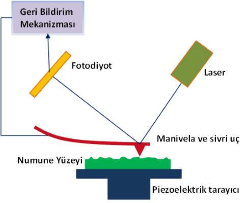 Genel Çalışma İlkesi Atomlar arası etkileşimleri kullanarak yüzey şekillerinin 3- boyutlu haritalanmasını sağlar. Ucu nanometre düzeyinde sivril$lmiş bir iğnenin araş!