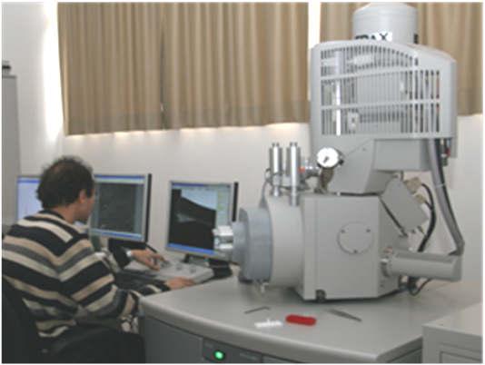Elektron Mikroskopi Laboratuvarı (EML) Spektroskopi Kromatografi Mikroskopi Laboratuvarı ve Fermentasyon (MKL) (SPL) Laboratuvarı (KFL) Kimyasal Analiz (KAL) Doku Kültürü Laboratuvarı (DKL) Mikro ve