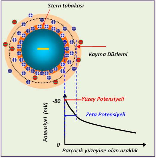 ÖRNEK ÇALIŞMALAR Örnek olarak oksit bir malzemenin parçacık boyut dağılımı ölçüm sonucu Şekil 5 te, Zeta Potansiyel ölçümü (ph ya karşı) ise Şekil 6 da verilmiş$r.