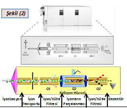 ODTÜ Merkez Laboratuvar Kütle Spektroskopi Laboratuvarı (KSL), Sıvı Kromatografi-Kütle Spektrometre (LCMSMS), NanoLC-ÇipMS (NLCM) ve Kapiler Elektroforez (CE) cihazları ile ODTÜ ve diğer