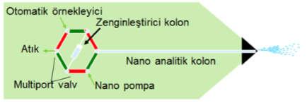 24 g/mol ; Nega$f iyonlaşma ANALİZ PROFİLİ Biyomarkör analizi Protein fosforilasyonu tespi$ Glikomiks-Glikozaminglikanlar Proteoliz Lipidomik, Kapiler Elektroforez (CE) Sistemi :