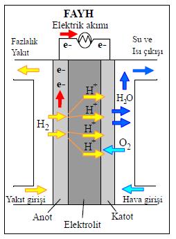 9 2.2.2. Fosforik asit yakıt hücresi (PAFC) Fosforik asit yakıt hücreleri (PAFC) elektrolit olarak sıvı fosforik asit kullanmaktadır.