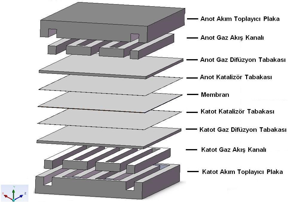 62 Şekil 7.1 PEM yakıt hücresi fiziksel modeli Bu çalışmada analiz edilen PEM yakıt hücresinin boyutları, Le ve Zhou [17] nun yapmış oldukları sayısal çalışmadan alınmış ve Çizelge 7.1 de verilmiştir.