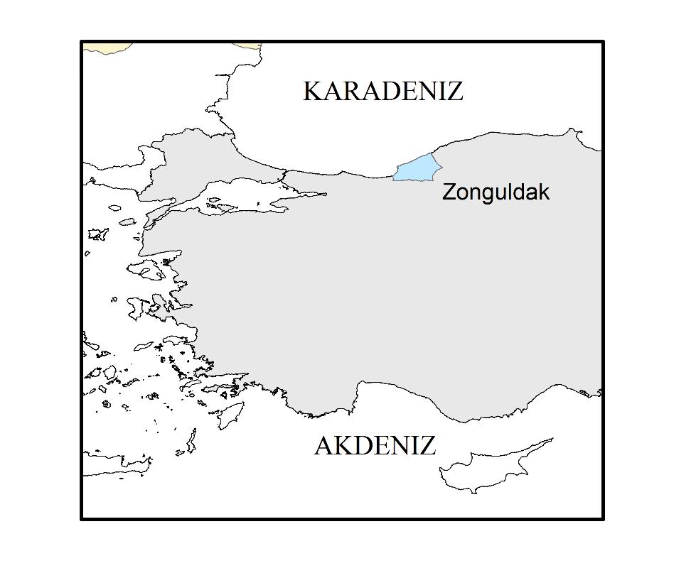 alanı