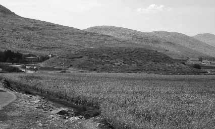 Res. / Fig. 1 Pazarcık-Kirni Höyük Kahramanmaraş ın Pazarcık/Narlı ovalarında 2008 yılında sürdürdüğümüz arazi çalışmaları yeni sonuçlara ulaşmamızı sağlamıştır.