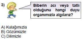 C) Koku alma ile tat alma duyuları birlikte çalışır. 70). Duyu organlarınızın sağlığı ile ilgili aşağıdaki bilgilerden hangisi doğrudur? A) Deri sağlığını korumak için banyo yapılmalıdır.