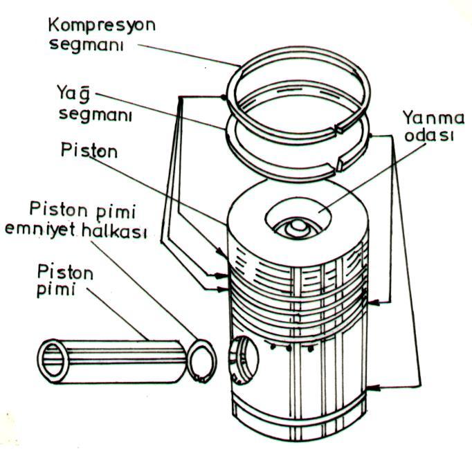 Segmanlar, görevleri yönünden, iki grup altında toplanırlar.