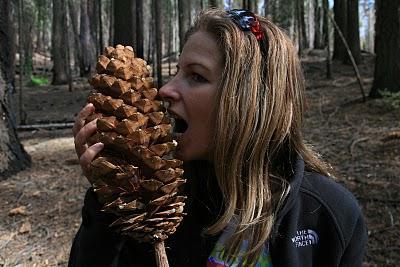 Park je plný turistických ciest, turisti na dôležitom mieste vždy natrafia na stanový tábor.