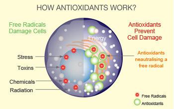 Hücrelerde çok sayıda savunma mekanizması bulunur. Organizmanın normal oksijen metabolizmasının toksik etkilerine kars ı kendisini koruması için bu mekanizmalar gereklidir.