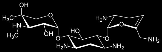 Sisomisin bactoceaze or Ensamycin 2-deoksistreptamin Sisosamin 2-[4,6-diamino-3-[[3-amino-6- (aminometil)-3,4-dihidro-2h-piran-2- il]oksi]-2-hidroksisiklohekzil]oksi-5-metil-4-
